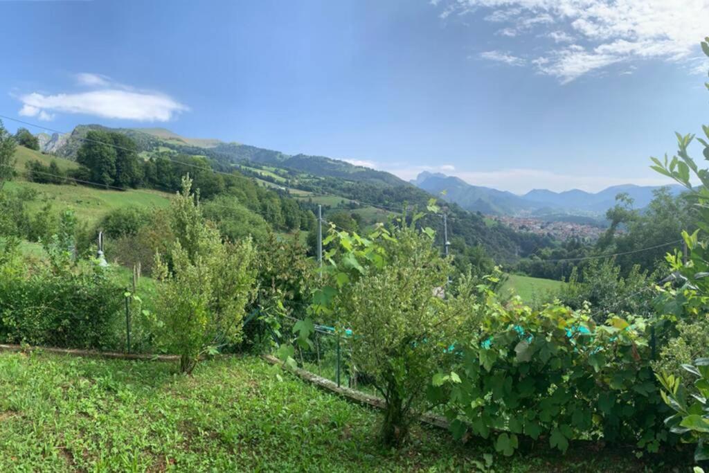 Residenza Fornaro Premolo Exterior photo